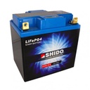 BATERIA LITHIUM-ION LIFEPO4 SHIDO